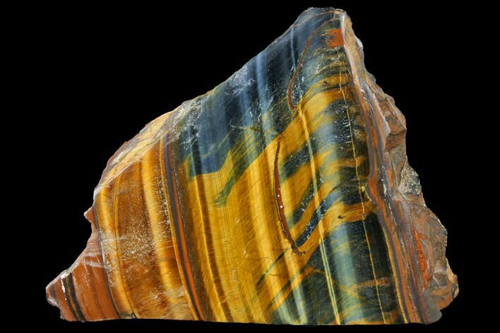 Polished Tiger's Eye Section - South Africa #128452